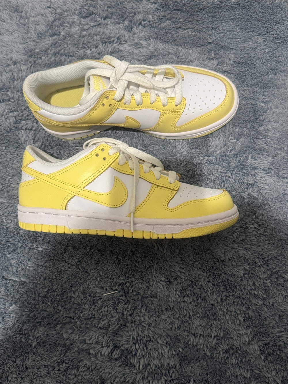 Kids Low-Top Nike dunks